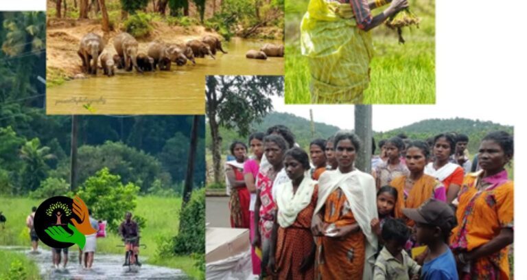 Empowering Transgenders and Tribals: The Vanatheeram Foundation Journey